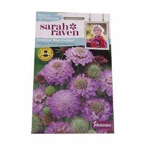 Sarah Raven Wildlife Collection Scabious Blue Cushion