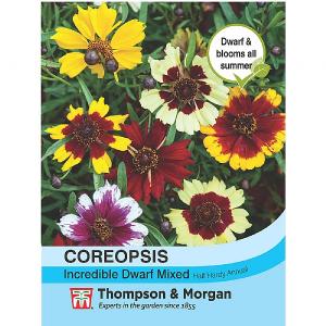 Thompson & Morgan Coreopsis Incredible Dwarf Mixed