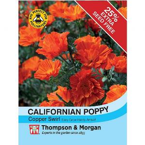 Thompson & Morgan Californian Poppy Copper Swirl 