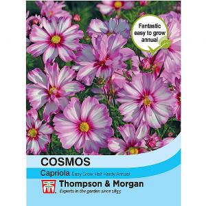 Thompson & Morgan Cosmos Capriola