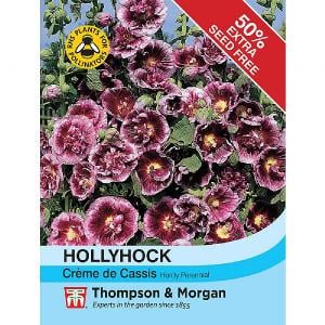 Thompson & Morgan Hollyhock Creme De Cassis