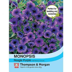 Thompson & Morgan Monopsis Regal Purple