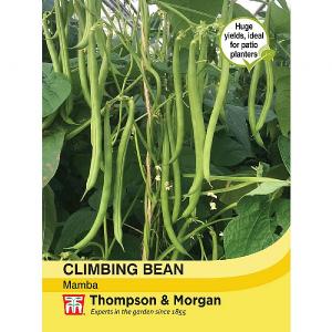 Thompson & Morgan Climbing Bean Mamba Seeds