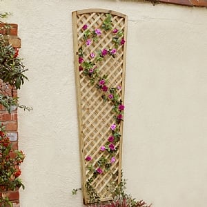 Zest Hillside Fan Trellis 1.83m x 0.60m