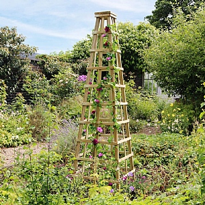 Zest Snowdon Obelisk