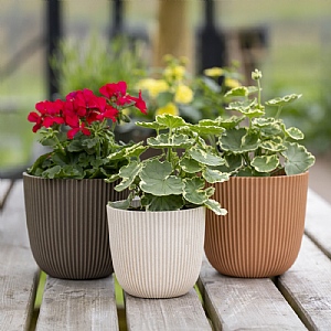 Capi Ball Groove Planter - 13x12cm (Various Colours)