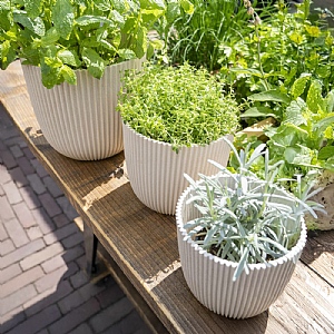 Capi Ball Groove Planter - 25x23cm (Various Colours)