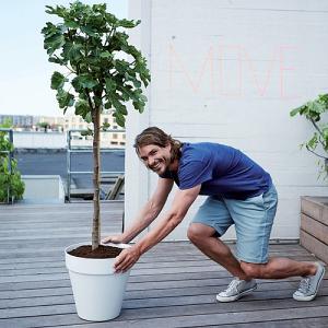 japon Bedenk Voorbijganger Elho Loft Urban Round Pot with Wheels 50cm | Elho Planters | Webbs Direct