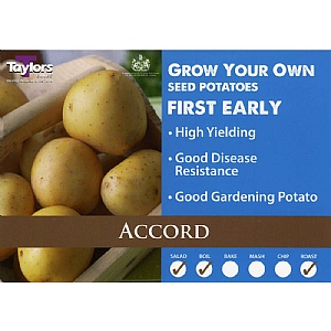 Accord (First Early) Seed Potatoes