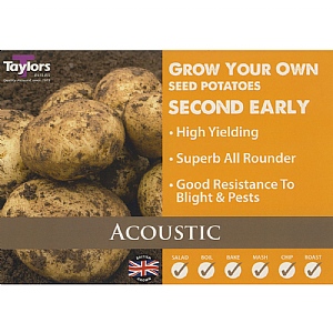 Acoustic (Second Early) Seed Potatoes