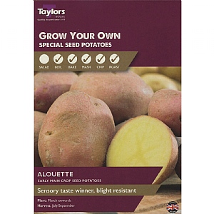 Alouette (Main Crop) Seed Potatoes