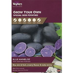 Blue Annelise (Main Crop) Seed Potatoes