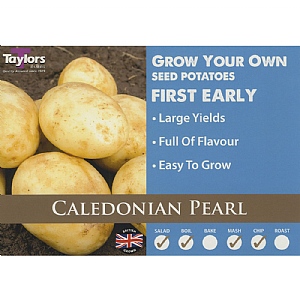 Caledonian Pearl (First Early) Seed Potatoes