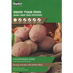 Caledonian Rose (Main Crop) Seed Potatoes