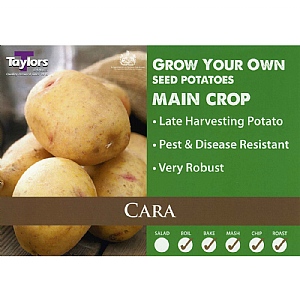 Cara (Main Crop) Seed Potatoes