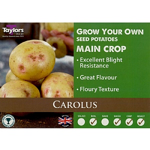 Carolus (Main Crop) Seed Potatoes