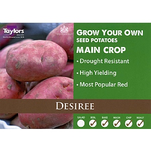 Desiree (Main Crop) Seed Potatoes