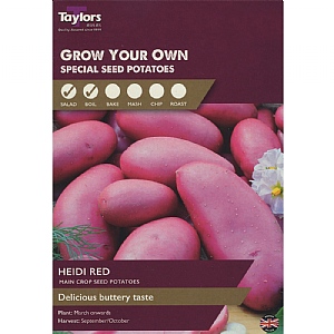 Heidi Red (Main Crop) Seed Potatoes