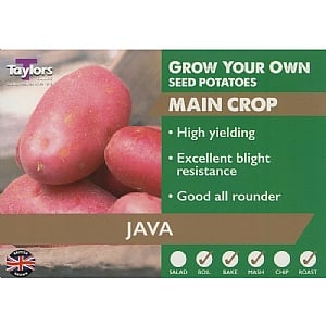 Java (Main Crop) Seed Potatoes