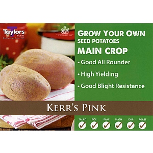 Kerr's Pink (Main Crop) Seed Potatoes