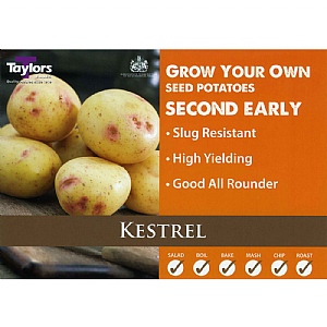 Kestrel (Second Early) Seed Potatoes