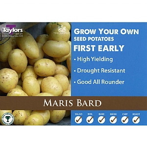 Maris Bard (First Early) Seed Potatoes