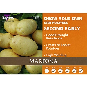 Marfona (Second Early) Seed Potatoes