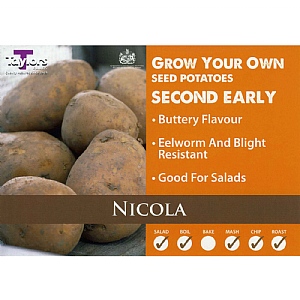 Nicola (Second Early) Seed Potatoes