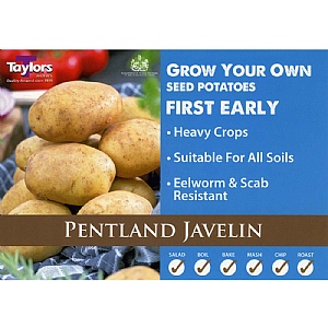 Pentland Javelin (First Early) Seed Potatoes