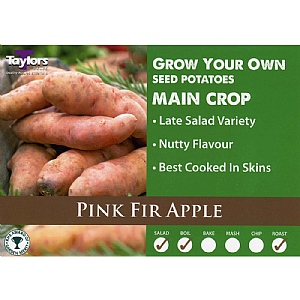 Pink Fir Apple (Main Crop) Seed Potatoes