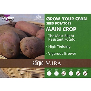 Sarpo Mira (Main Crop) Seed Potatoes