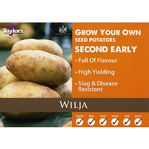 Wilja (Second Early) Seed Potatoes