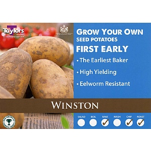 Winston (First Early) Seed Potatoes