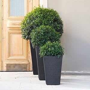 Stewart Garden Rattan Planter (Various Sizes)