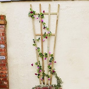 Zest Fan Trellis Panel