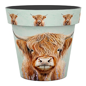 Zest Pot Highland Cow (Various Sizes)