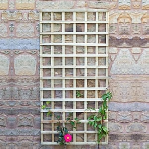 Zest 110mm Square Trellis Panel